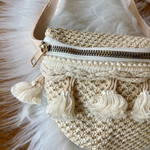 Danna Crossbody Belt Bag