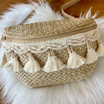 Danna Crossbody Belt Bag