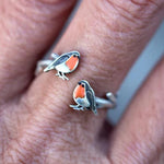 Pettirosso Ring