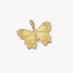 Golden Butterfly Poetic Wings
